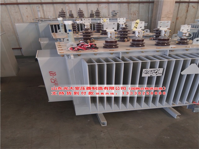 金堂S13-1600KVA油浸式变压器