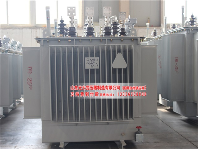 金堂环保型油浸式变压器